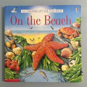 On the Beach An Usborne Lift The Flap Book